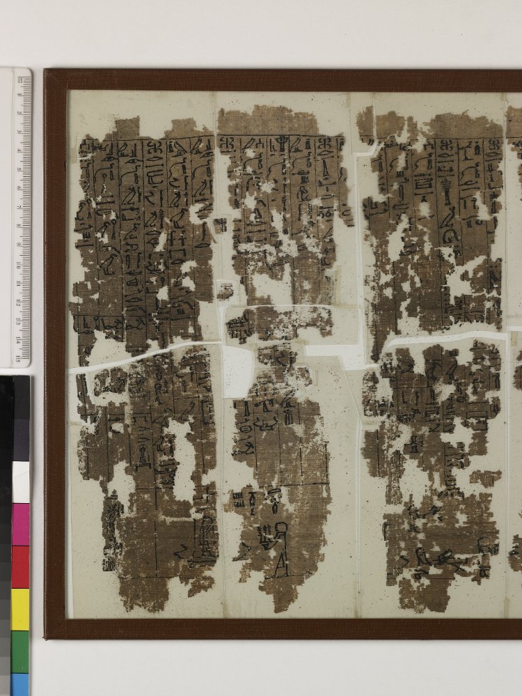 Descubrimientos Asombrosos En Paleografía Del Papiro Ramesseum 0239